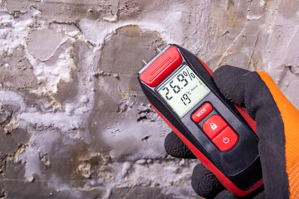 Best Localized Mold Remediation (e.g., coastal areas, humid climates) in Roosevelt, NJ